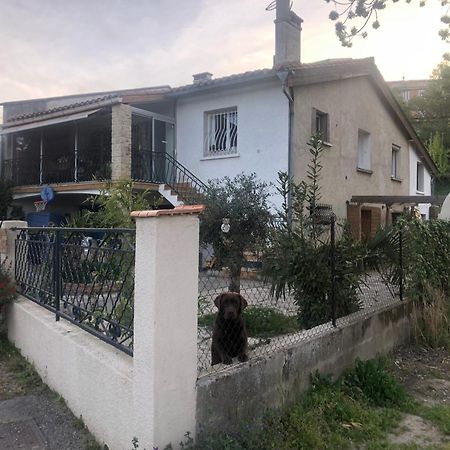 Bienvenue « A L'Ombre Du Figuier » Apartment Pieusse Bagian luar foto