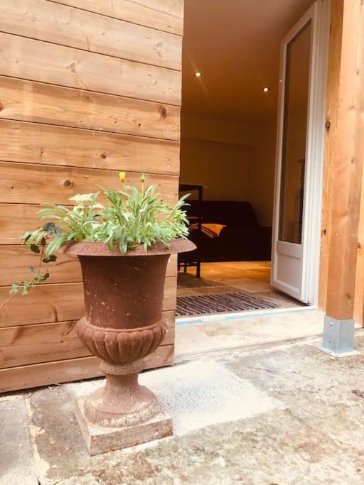 Bienvenue « A L'Ombre Du Figuier » Apartment Pieusse Bagian luar foto